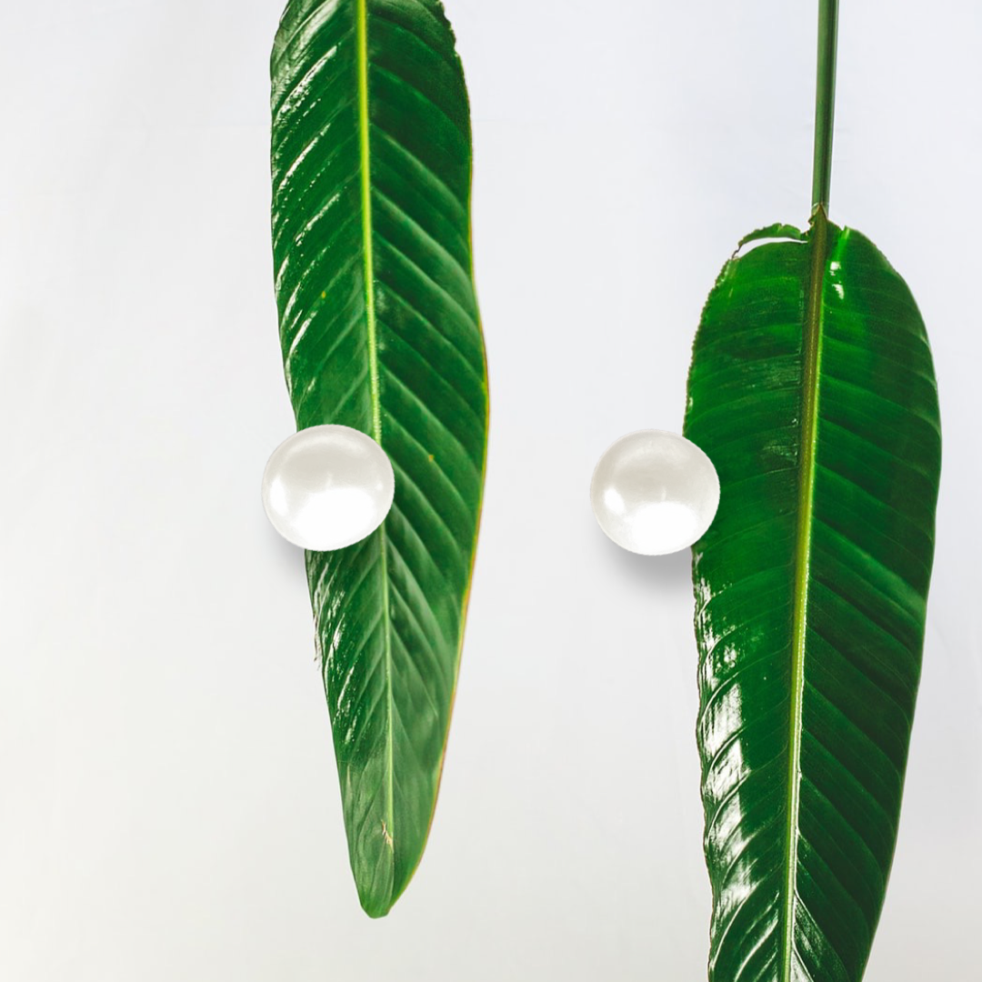 Classic White Freshwater Pearl Stud Earrings in Sterling Silver 9-9.5mm